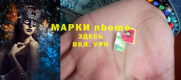 прущие грибы Балахна