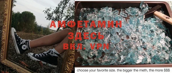прущие грибы Балахна