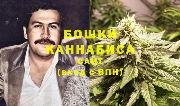прущие грибы Балахна