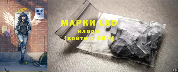 прущие грибы Балахна