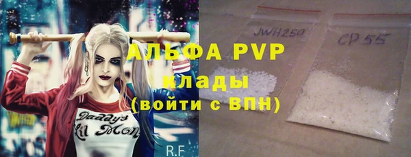 прущие грибы Балахна