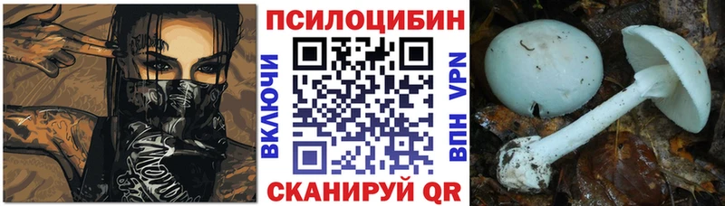 Псилоцибиновые грибы прущие грибы  Шагонар 